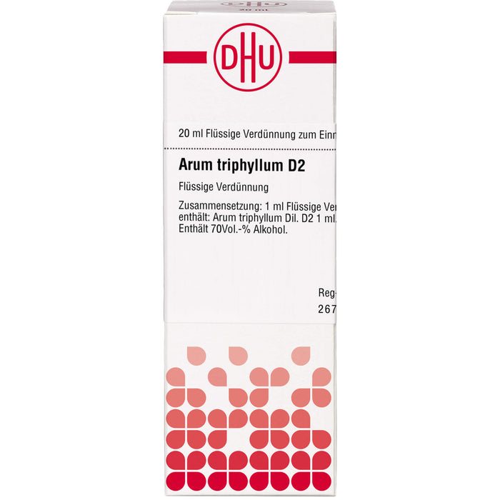 DHU Arum triphyllum D2 Dilution, 20 ml Lösung