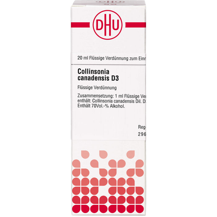 Collinsonia canadensis D3 DHU Dilution, 20 ml Lösung