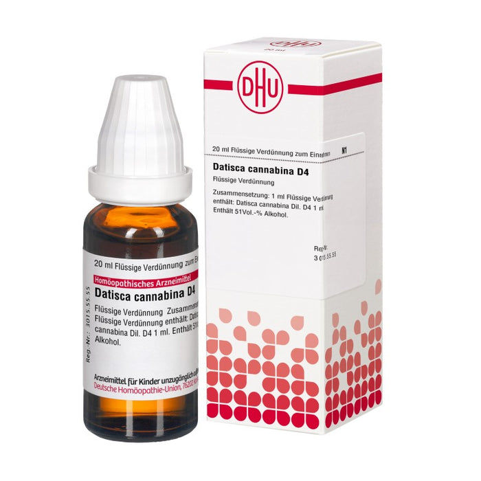 Datisca cannabina D4 DHU Dilution, 20 ml Lösung