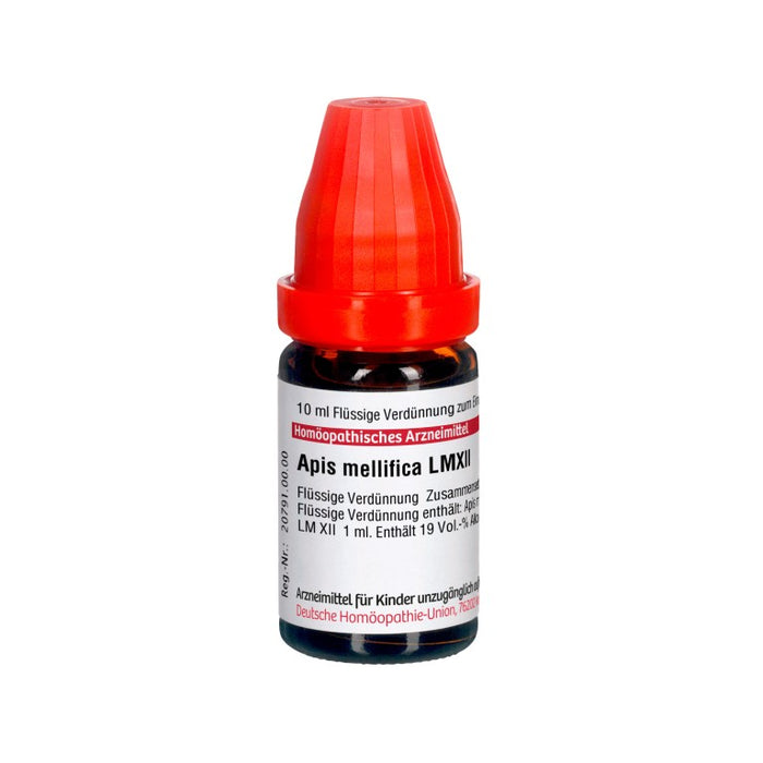 Apis mellifica LM XII DHU Dilution, 10 ml Lösung