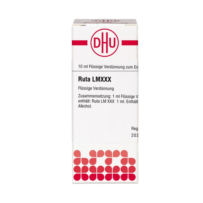 Ruta LM XXX DHU Dilution, 10 ml Lösung