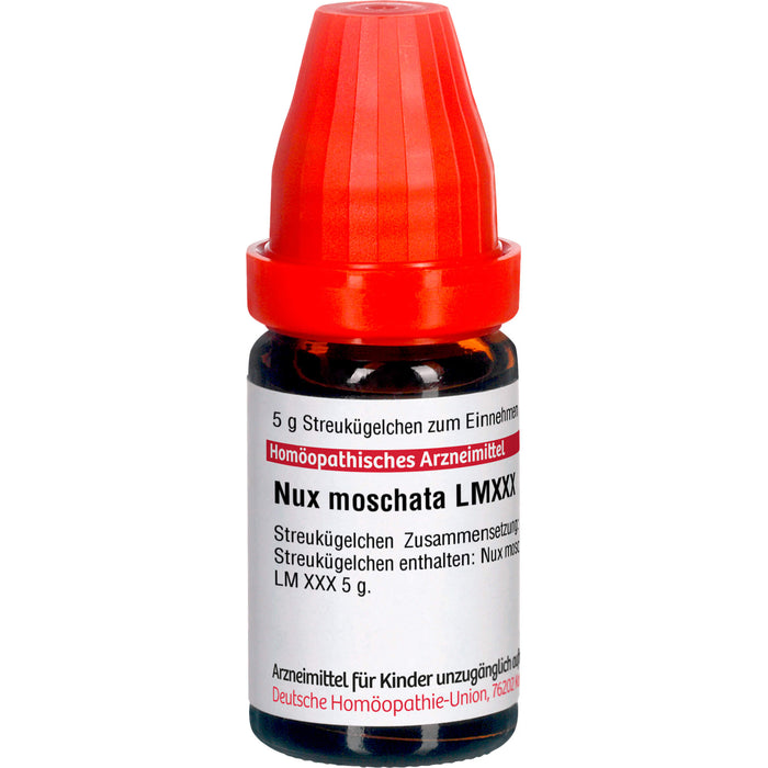 DHU Nux moschata LM XXX Streukügelchen, 5 g Globules