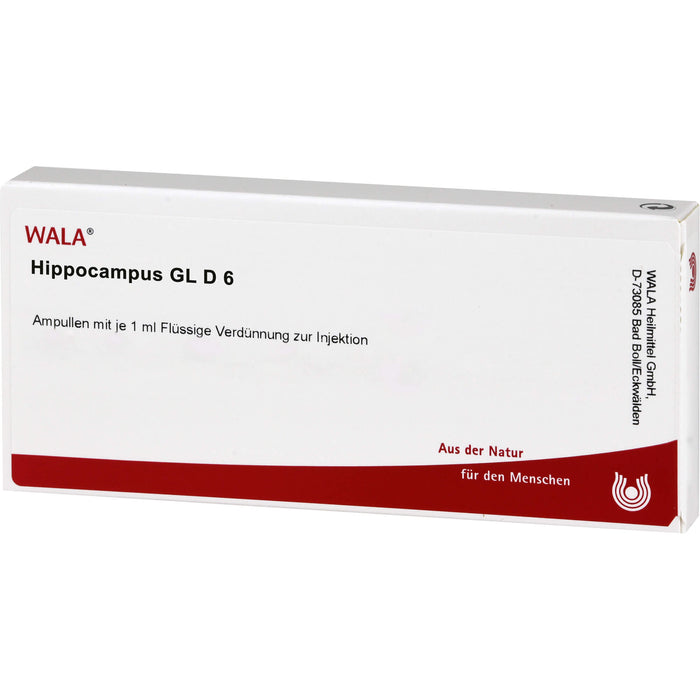 Hippocampus Gl D6 Wala Ampullen, 10X1 ml AMP