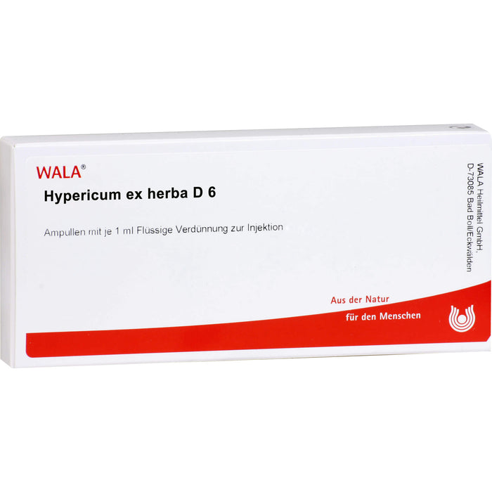 Hypericum ex Herba D6 Wala Ampullen, 10X1 ml AMP