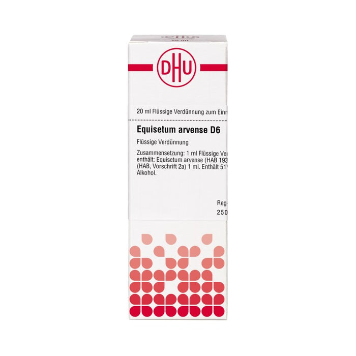 DHU Equisetum arvense D6 Dilution, 20 ml Lösung