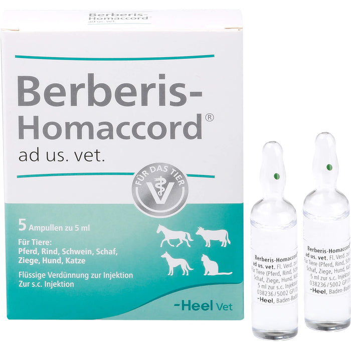 Berberis-Homaccord ad us. vet. Ampullen, 5 pc Ampoules