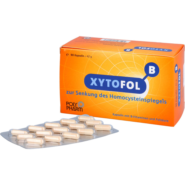 XYTOFOL B Kapseln zur Senkung des Homocysteinspiegels, 90 pcs. Capsules