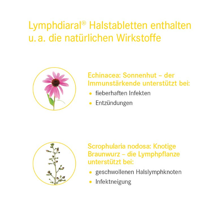 Lymphdiaral Halstabletten bei Neigung zu Infekten im Hals-Nasen-Rachenbereich, 100 pc Tablettes