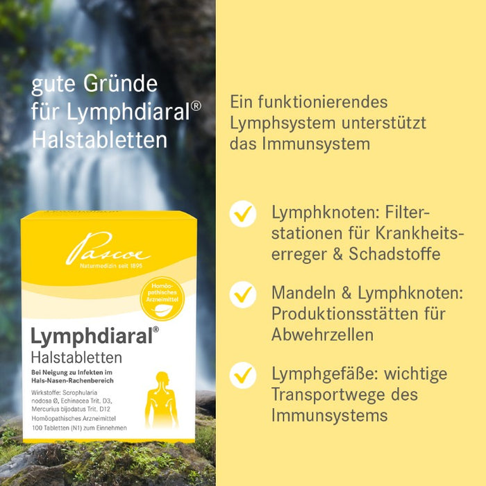 Lymphdiaral Halstabletten bei Neigung zu Infekten im Hals-Nasen-Rachenbereich, 100 pc Tablettes