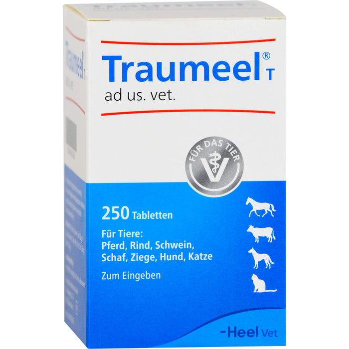 Traumeel T ad us. vet. Tabletten, 250 pc Tablettes