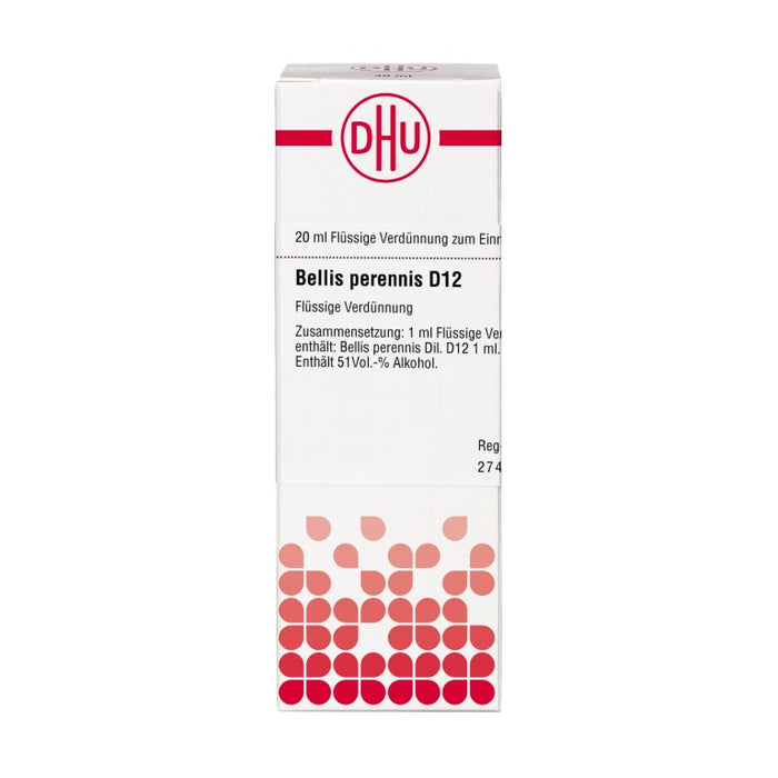 DHU Bellis perennis D12 Dilution, 20 ml Lösung