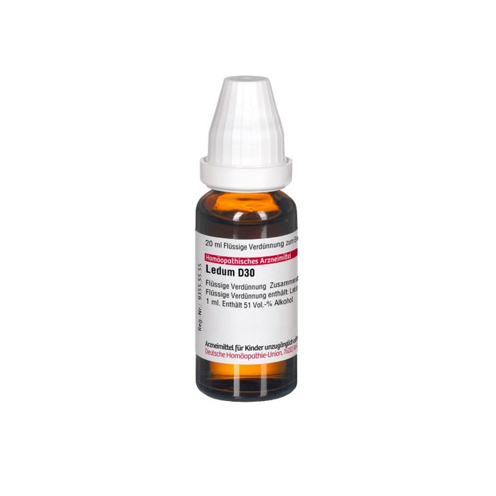 DHU Ledum D30 Dilution, 20 ml Lösung