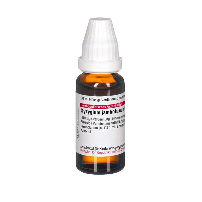 DHU Syzygium jambolanum D4 Dilution, 20 ml Lösung