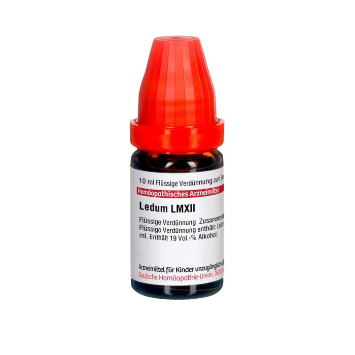 DHU Ledum LM XII Dilution, 10 ml Lösung