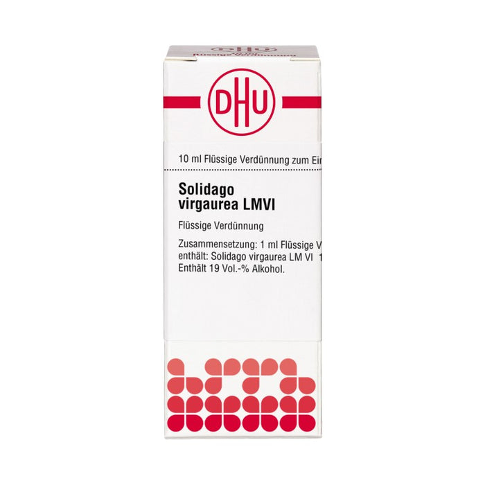 Solidago virgaurea LM VI DHU Dilution, 10 ml Lösung