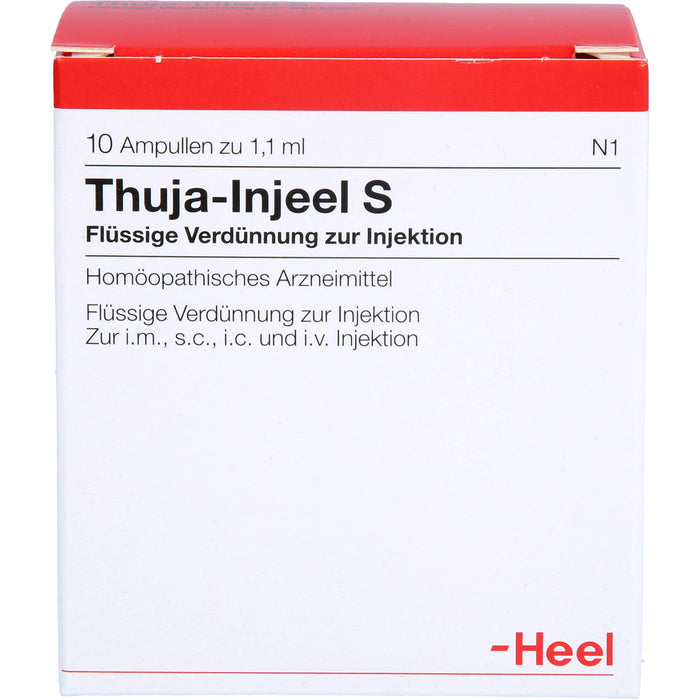 Thuja-Injeel S flüssige Verdünnung, 10 pc Ampoules