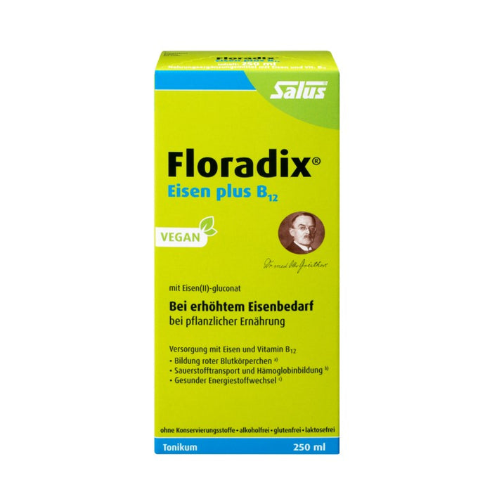 Floradix Eisen plus B12 vegan Tonikum bei erhöhtem Eisenbedarf, 250 ml Solution