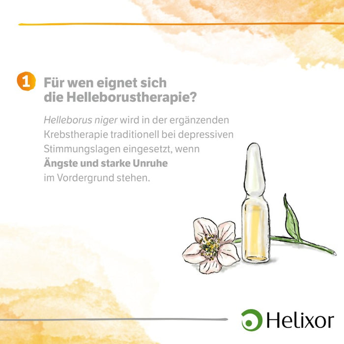 Helleborus niger D4 aquos., 8 pcs. Ampoules