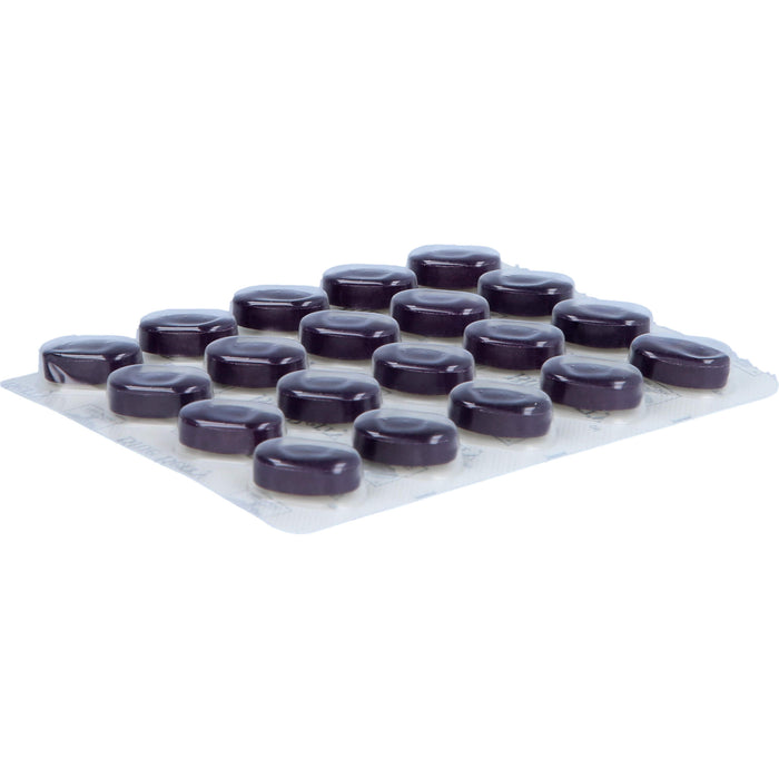 Blue Berry Eyebright Augen und Sehkraft Tabletten, 120 pcs. Tablets