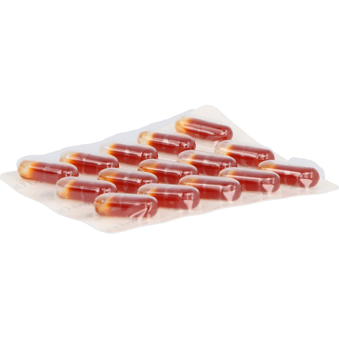 Krill Omega Red Oil Kapseln, 60 St. Kapseln