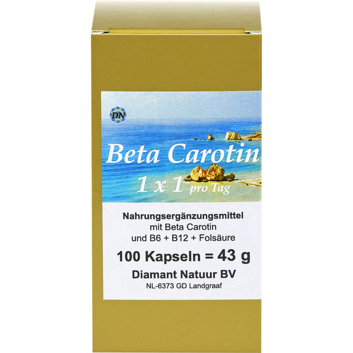 Beta Carotin 1 x 1 pro Tag, 100 St KAP