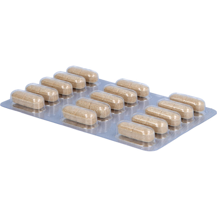 Sanagast Laves Tabletten zur Unterstützung einer gesunden Eiweißverdauung, 60 pcs. Tablets