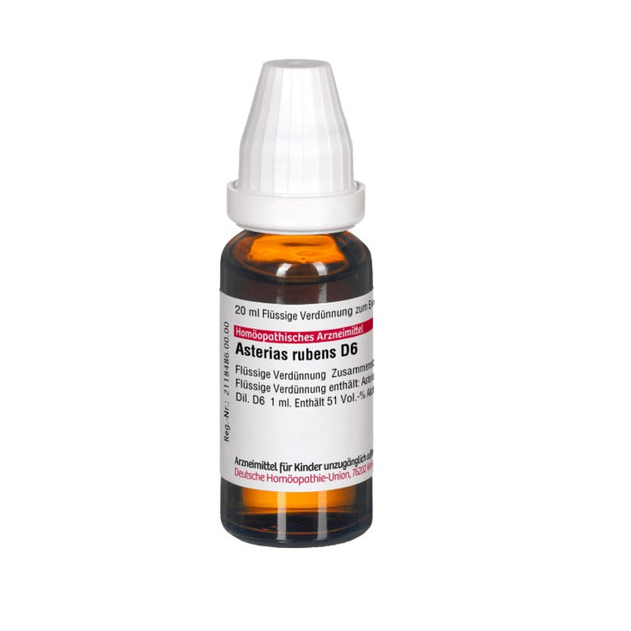 Asterias rubens D6 DHU Dilution, 20 ml Lösung