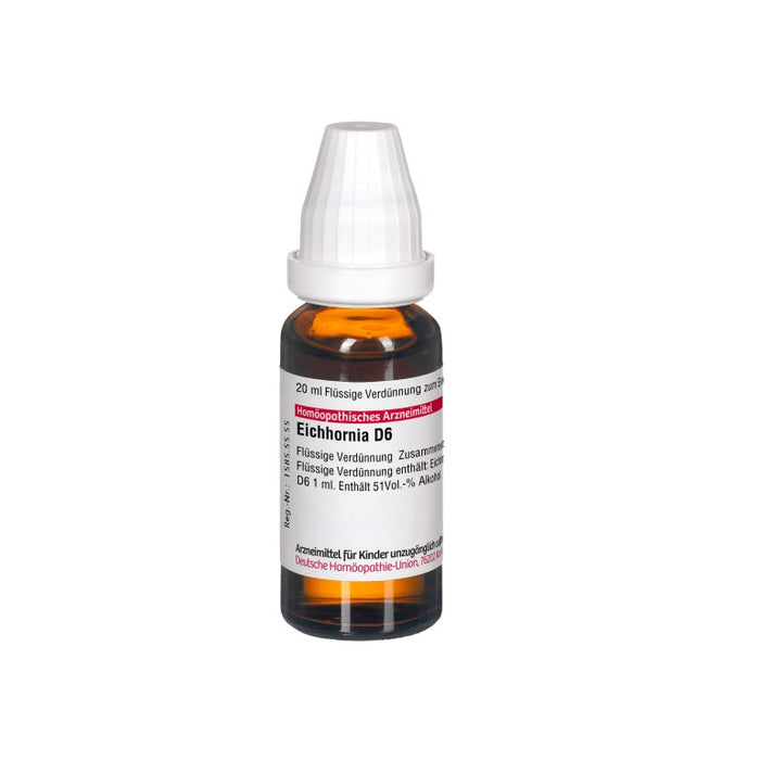 Eichhornia D6 DHU Dilution, 20 ml Lösung