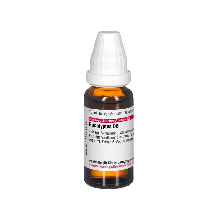 Eucalyptus D6 DHU Dilution, 20 ml Lösung