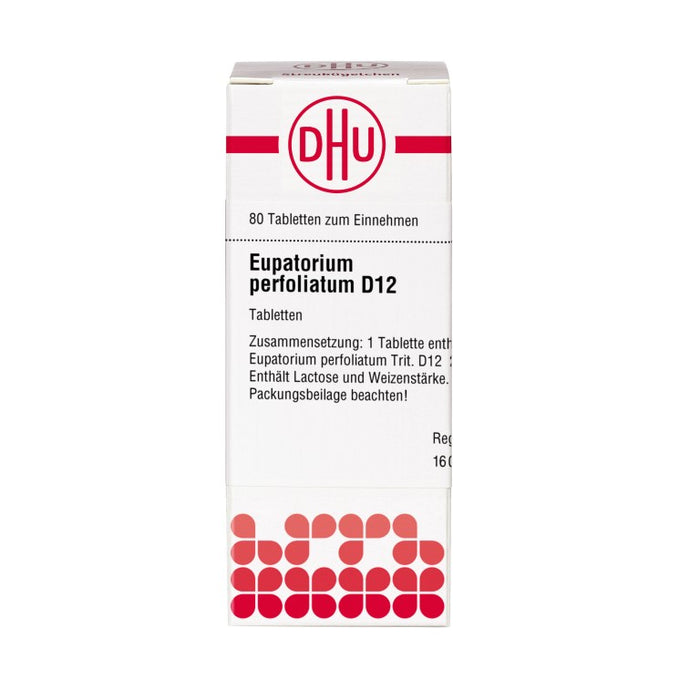 DHU Eupatorium perfoliatum D12 Tabletten, 80 pc Tablettes