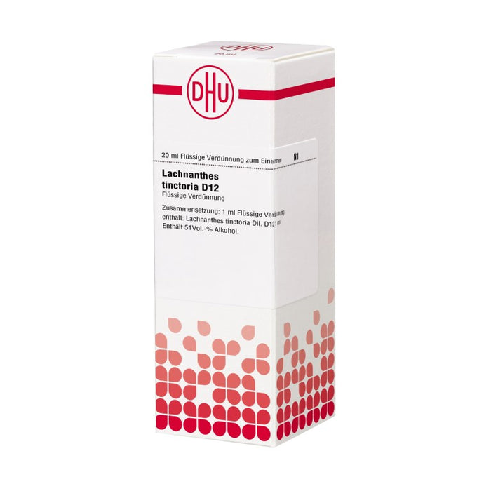 Lachnanthes tinctoria D12 DHU Dilution, 20 ml Lösung