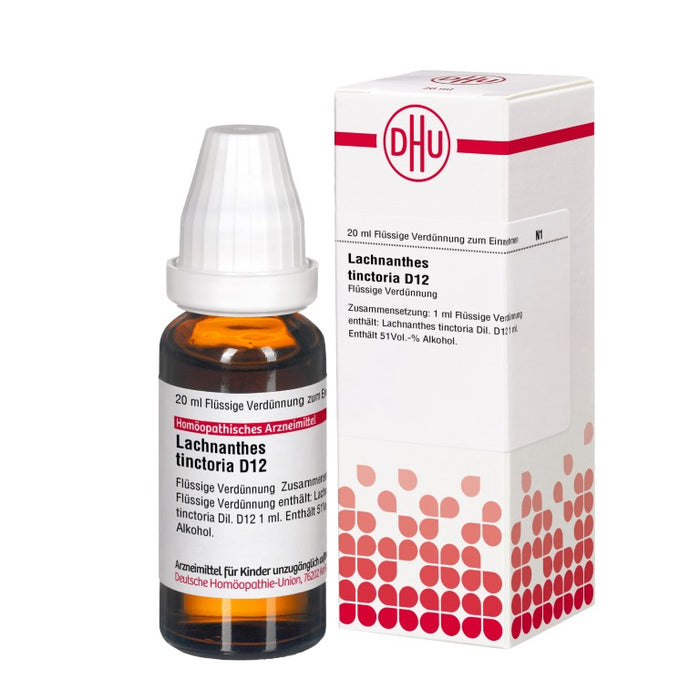 Lachnanthes tinctoria D12 DHU Dilution, 20 ml Lösung