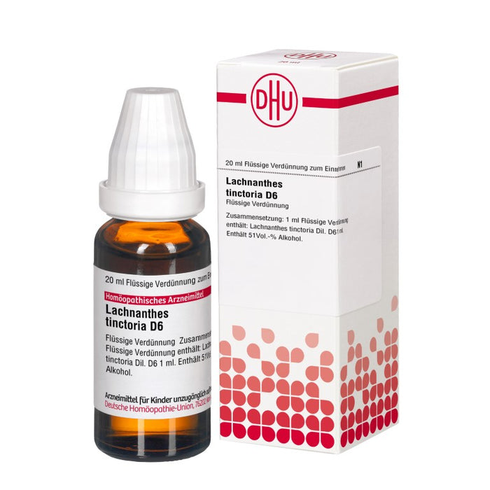 DHU Lachnanthes tinctoria D 6 flüssige Verdünnung, 20 ml Lösung