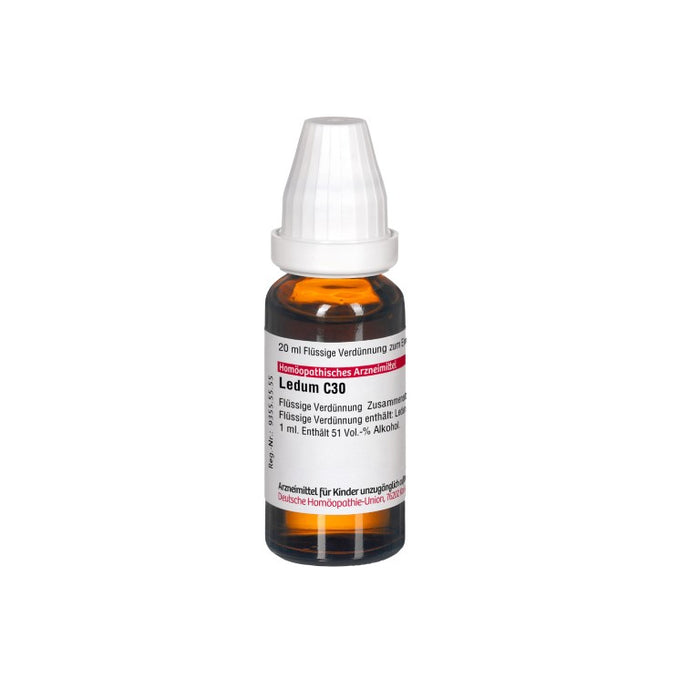 DHU Ledum C30 Dilution, 20 ml Lösung