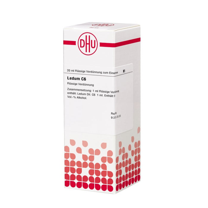 DHU Ledum C6 Dilution, 20 ml Lösung