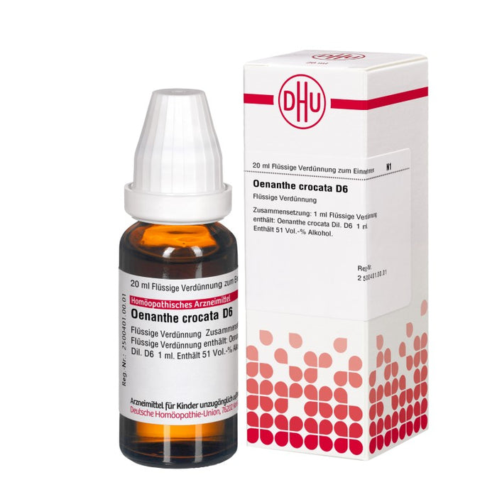 Oenanthe crocata D6 DHU Dilution, 20 ml Lösung