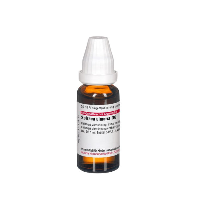 Spiraea ulmaria D6 DHU Dilution, 20 ml Lösung