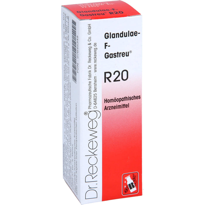 Glandulae-F-Gastreu R20 Tropfen, 22 ml MIS