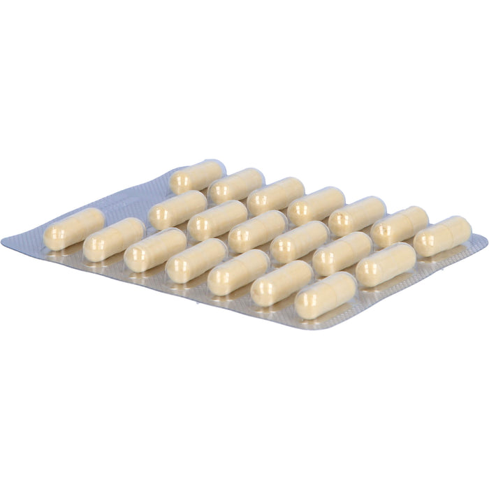 SANUM-KEHLBECK Silvaysan Hartkapseln bei Lebererkrankungen, 100 pc Capsules