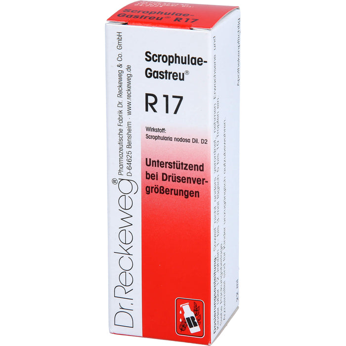 Scrophulae-Gastreu R17 Tropf., 22 ml MIS