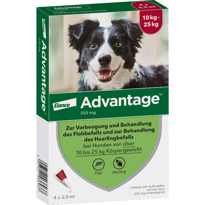 Advantage 250 mg Lösung zum Auftropfen bei Hunden, 4 St. Ampullen