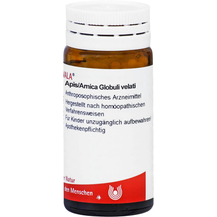 Apis/Arnica Wala Globuli, 20 g Globuli