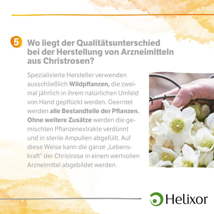 Helleborus niger D 3 aquos., 50 pc Ampoules