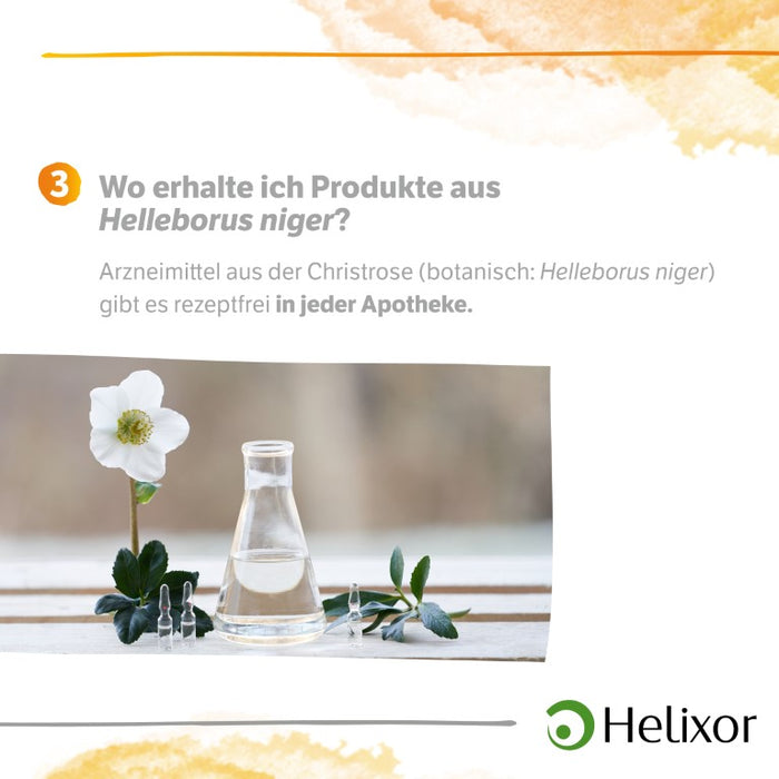 Helleborus niger D 30 aquos., 50 pc Ampoules