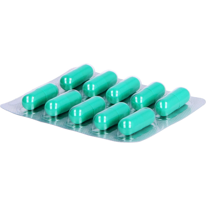 Hepar-SL 320 mg Kapseln auf pflanzlicher Basis bei Verdauungsstörungen, 50 pcs. Capsules