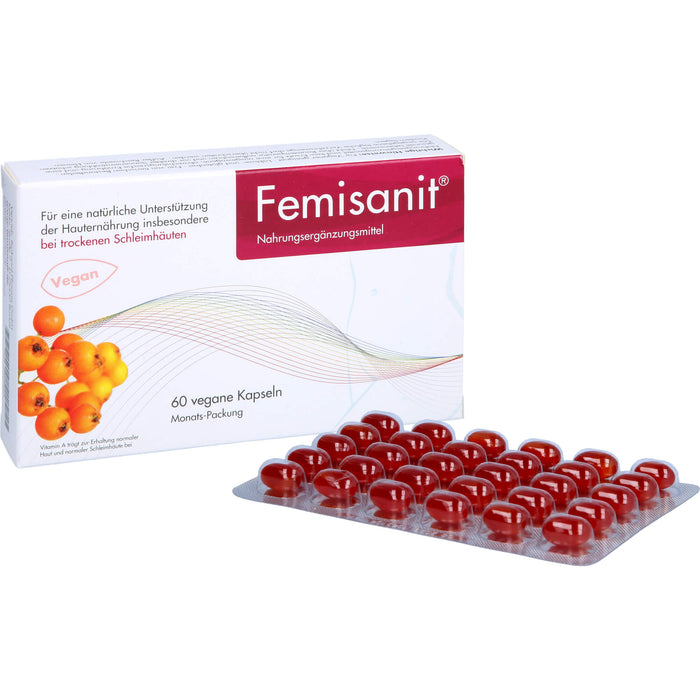 Femisanit Kapseln, 60 pc Capsules