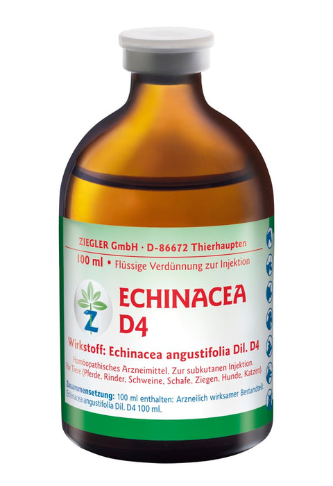 ZIEGLER Echinacea D 4 Dilution, 100 ml Lösung