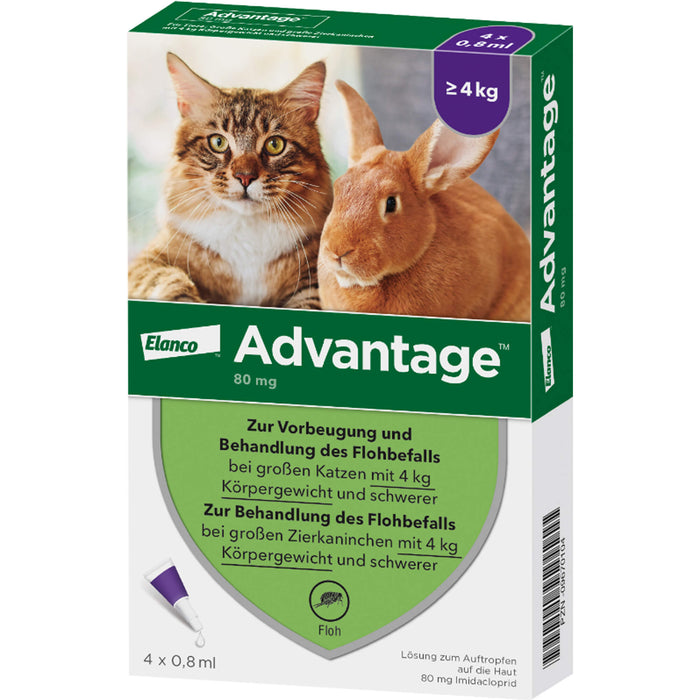 Advantage 80 mg für Katzen und Zierkaninchen über 4 kg Lösung, 3.2 ml Lösung