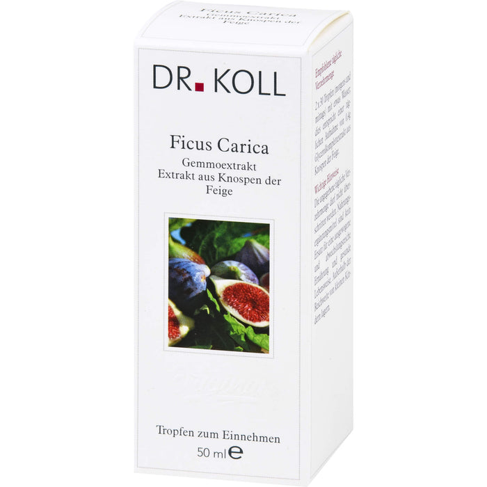 DR. KOLL Ficus Carica Gemmoextrakt Tropfen, 50 ml Lösung