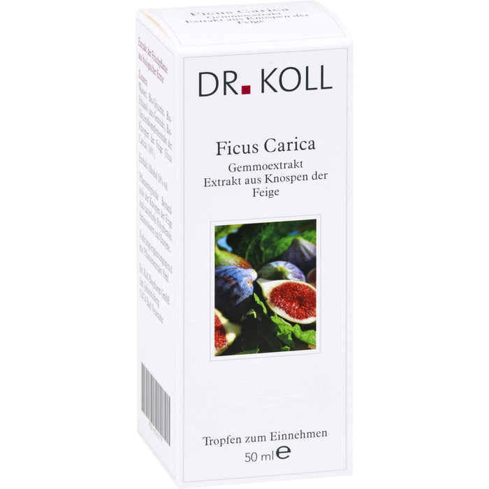 DR. KOLL Ficus Carica Gemmoextrakt Tropfen, 50 ml Solution